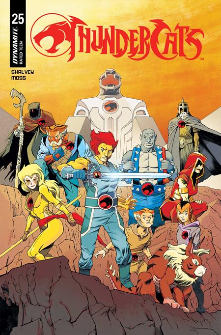 Thundercats #25 - Declan Shalvey Variant (Pre-Sale) C08-P13