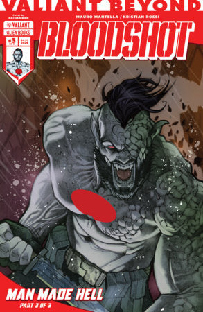 🔞 Bloodshot #6 - Man Made Hell #3 | Nathan Birr Var (Pre-Order) C39-P44