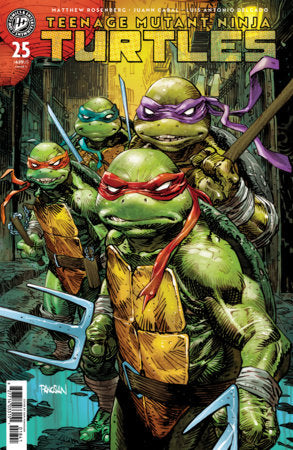 Teenage Mutant Ninja Turtles #25 - IDW | Dan Panosian Var (Pre-Order) C48-P02