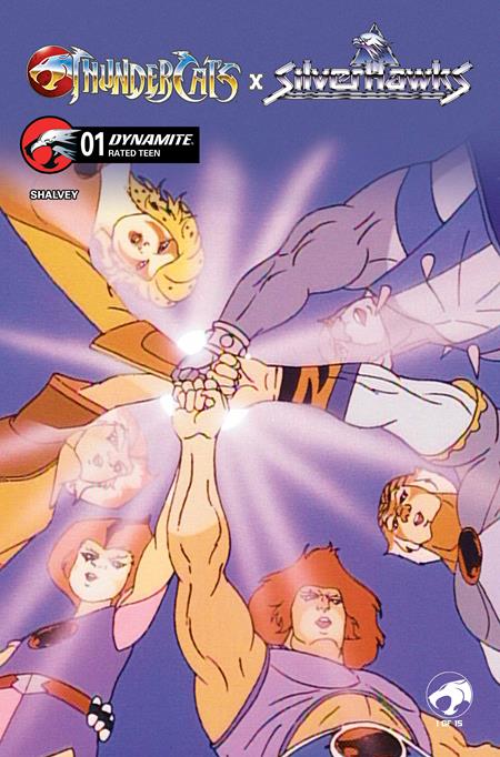 Thundercats / Silverhawks #1 - Animation Art Variant (Pre-Sale) C11-P14