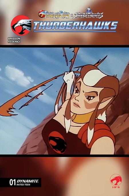 Thundercats / Silverhawks: Thunderhawks #1 - Animation Art Variant (Closed) P16