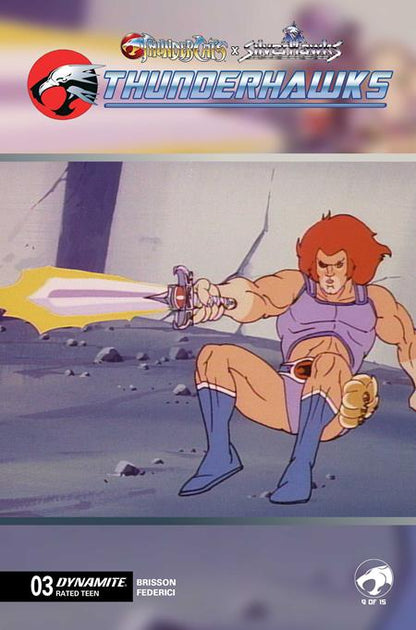 Thundercats x Silverhawks: Thunderhawks #3 - Animation Art Variant (Closed)
