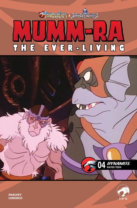 Mumm-ra: The Ever Living #4 - Animation Art Variant (Pre-Sale) C25-P28