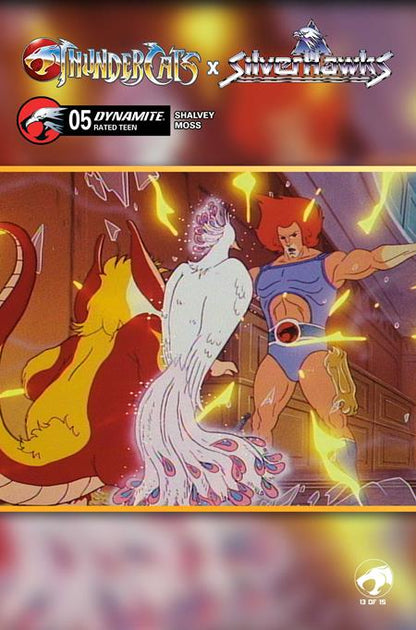 Thundercats x Silverhawks #5 - Dynamite - Animation Art Variant (Closed) R2632
