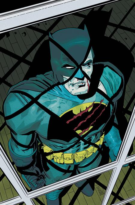 Poison Ivy #48 - Bad Seeds - Hayden Sherman Dark Knight Returns 40th Anniversary Variant (Pre-Order) C36-P39