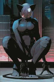 Absolute Batman #13 | Nick Dragotta Main Cover | FC: 15/9 • PL: 8/10 (Pre-Sale) [C37]