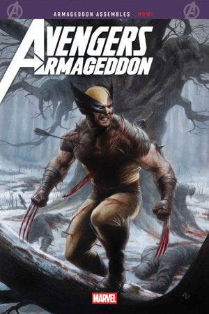 Avengers: Armageddon #2 - Adi Granov Variant (Pre-Sale) C24-P28