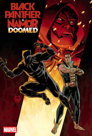 Black Panther / Namor: Doomed #1 - Dave Johnson Main Cover (Closed) R2635