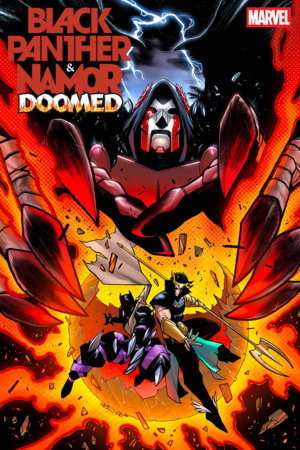 Black Panther / Namor: Doomed #2 - Stefano Nesi Var (Pre-Order) C37-P41