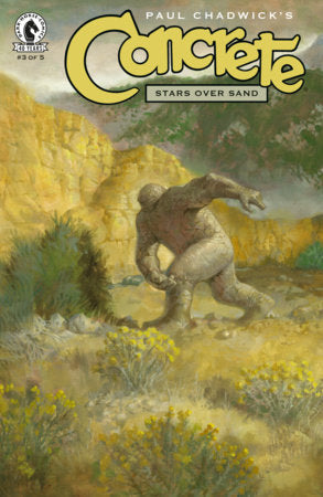Concrete Stars Over Sand #3 - Paul Chadwick Main Cover (Closed) R2635