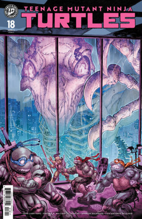 Teenage Mutant Ninja Turtles #18 - Freddie E. Williams II Main Cover (Closed)