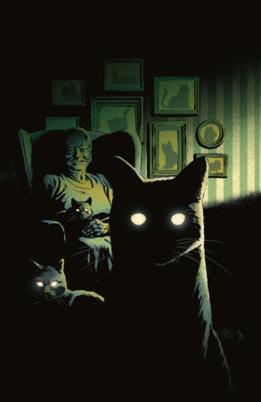 Stuff Of Nightmares: The Cat In The Coffin #1 Cvr C Adam Gorham Homage Var - Adam Gorham Variant (Pre-Sale) C27-P33