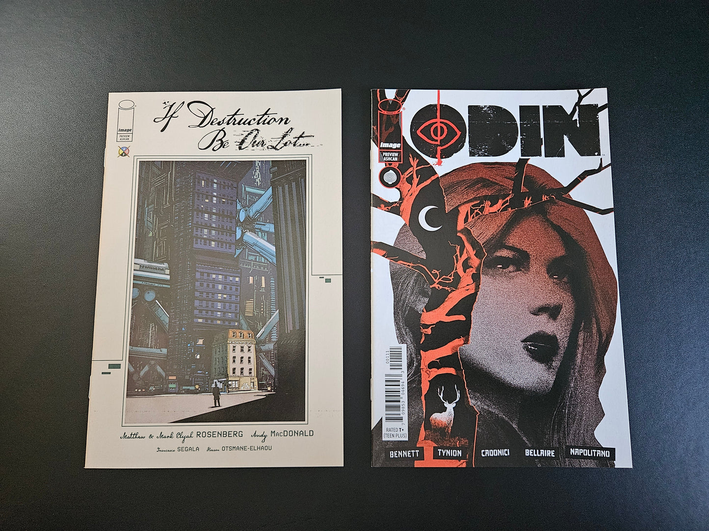If Destruction be our Lot #1 / Odin #1 - Flipbook Ashcan Edition (Released)