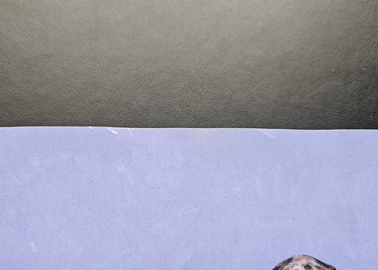 🔞 Savage Sword of Conan #12 - Adrian Smith Virgin Variant (Read Desc.) 002